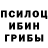 Псилоцибиновые грибы прущие грибы Bahadur Parallax