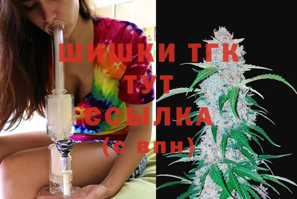 хмурый Арсеньев