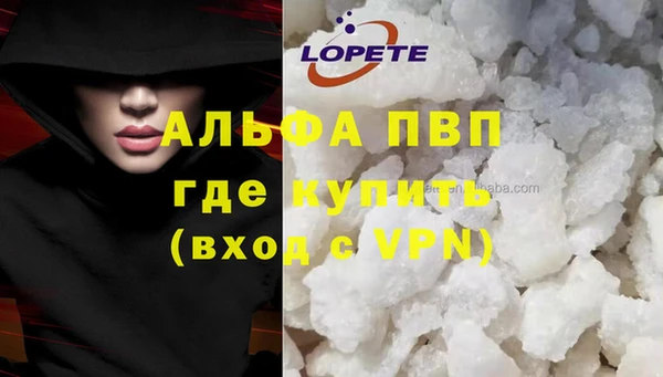 хмурый Арсеньев