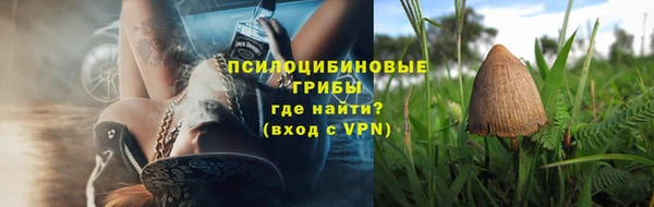 хмурый Арсеньев
