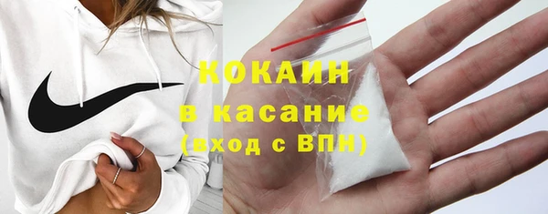 хмурый Арсеньев