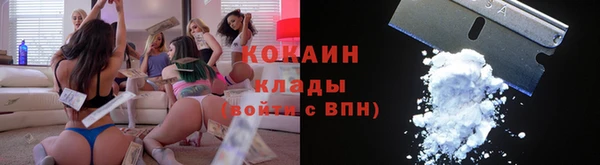 хмурый Арсеньев