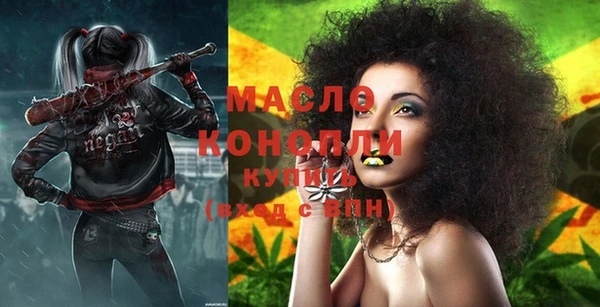 хмурый Арсеньев