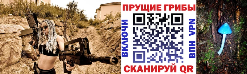 Псилоцибиновые грибы мухоморы Северо-Курильск