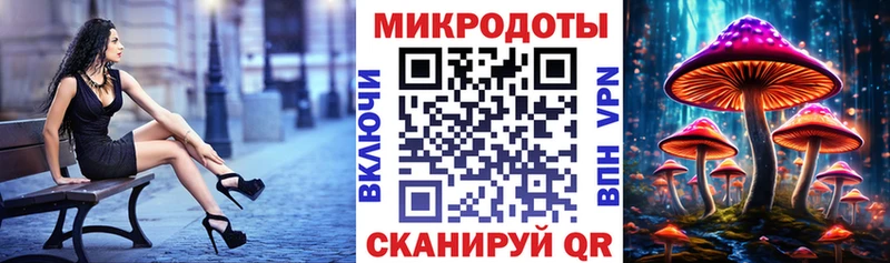Галлюциногенные грибы Psilocybine cubensis  Северо-Курильск 